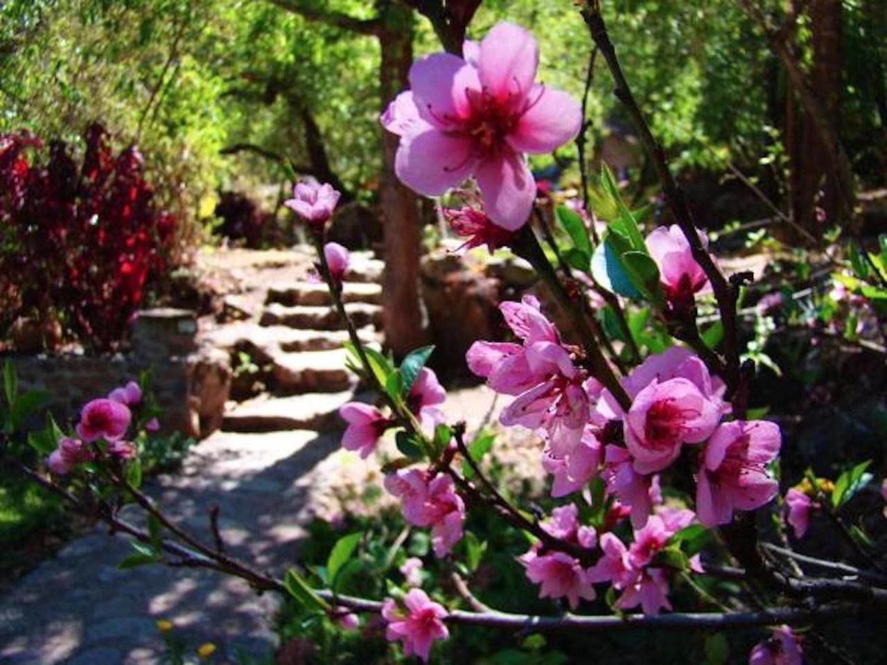 Las Chullpas Eco-Lodge Urubamba Exterior photo